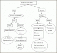 /album/algoritmos/algoritmo-espirometria-gif/